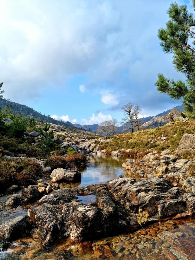 Holiday home D'oliva - River Side *