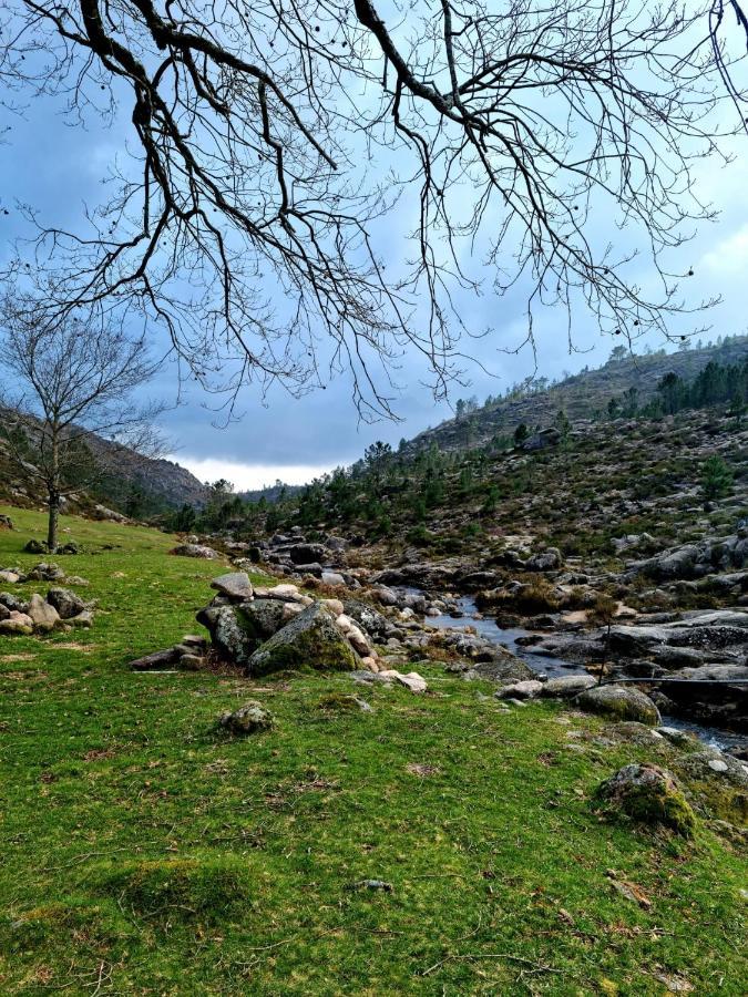Holiday home D'oliva - River Side Geres